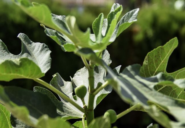 Villa in Marbella - Super Villa - Nahe Strand Beheizter Pool Villa in Marbella - Super Villa - Nahe Strand Beheizter Pool