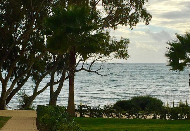 Ferienwohnung in Estepona - 117 Ferienwohnung in Estepona - 117