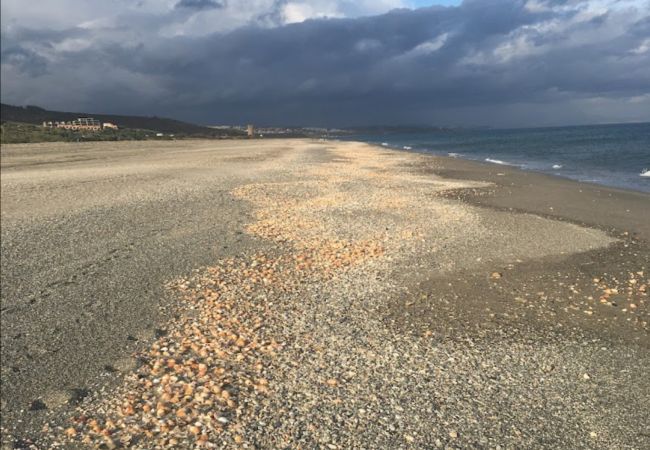 Ferienwohnung in Estepona - MDG-623 Ferienwohnung in Estepona - MDG-623