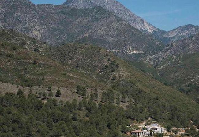 Studio in Cómpeta - Ländliche Studie im Acebuchal Studio in Cómpeta - Ländliche Studie im Acebuchal