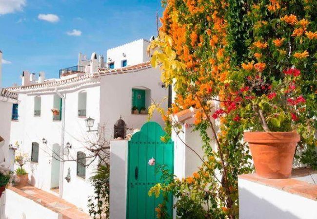 Studio in Cómpeta - Ländliche Studie im Acebuchal Studio in Cómpeta - Ländliche Studie im Acebuchal