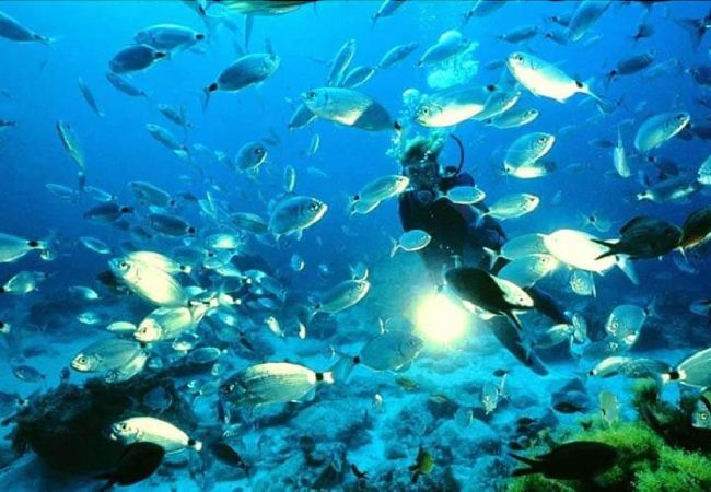 Studio in Nerja - Jimena Calahonda Studio im Zentrum von Nerja Studio in Nerja - Jimena Calahonda Studio im Zentrum von Nerja