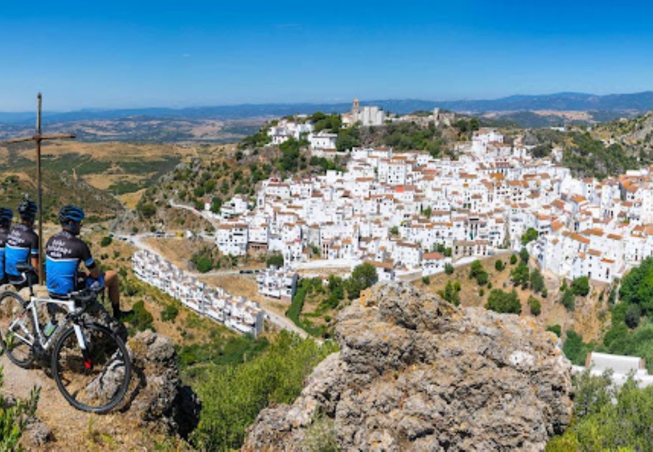 Ferienwohnung in Casares - AL4-2025