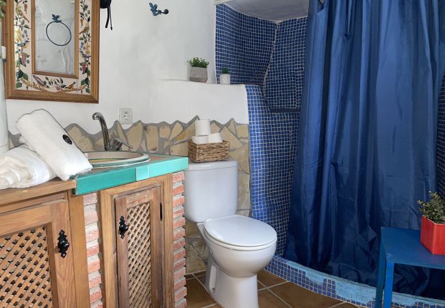 Estudio en Cómpeta - Estudio Rural en el acebuchal Estudio en Cómpeta - Estudio Rural en el acebuchal