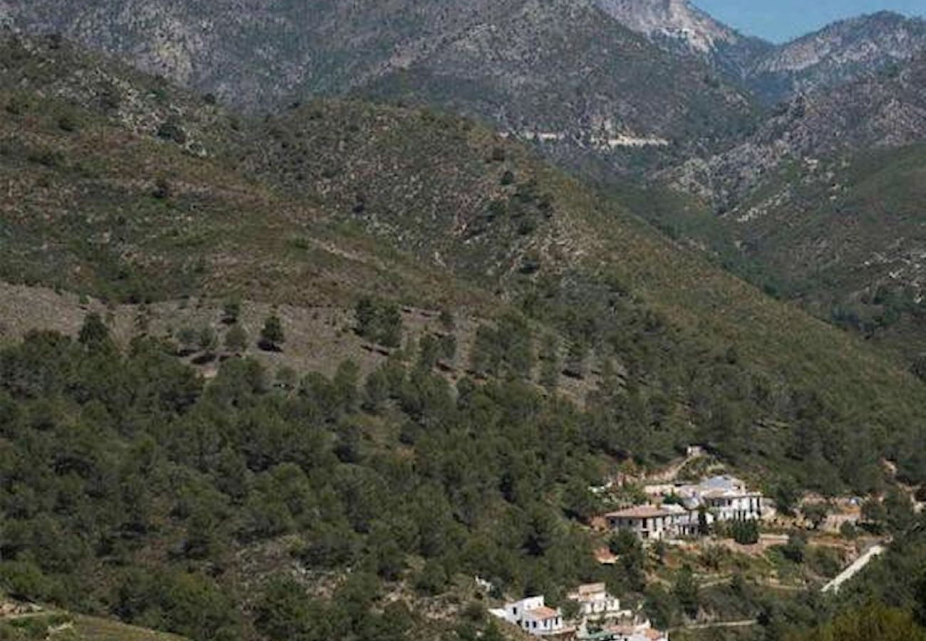 Estudio en Cómpeta - Estudio Rural en el acebuchal