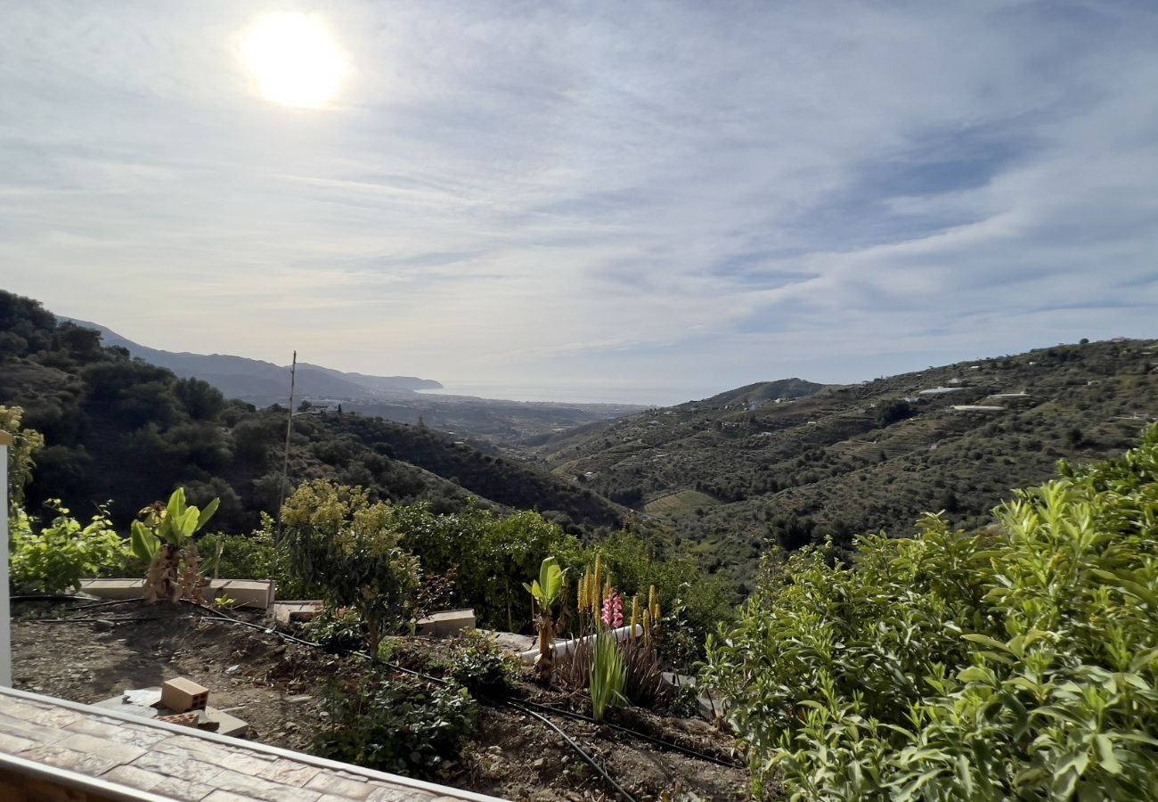 Villa en Torrox - Villa Paco