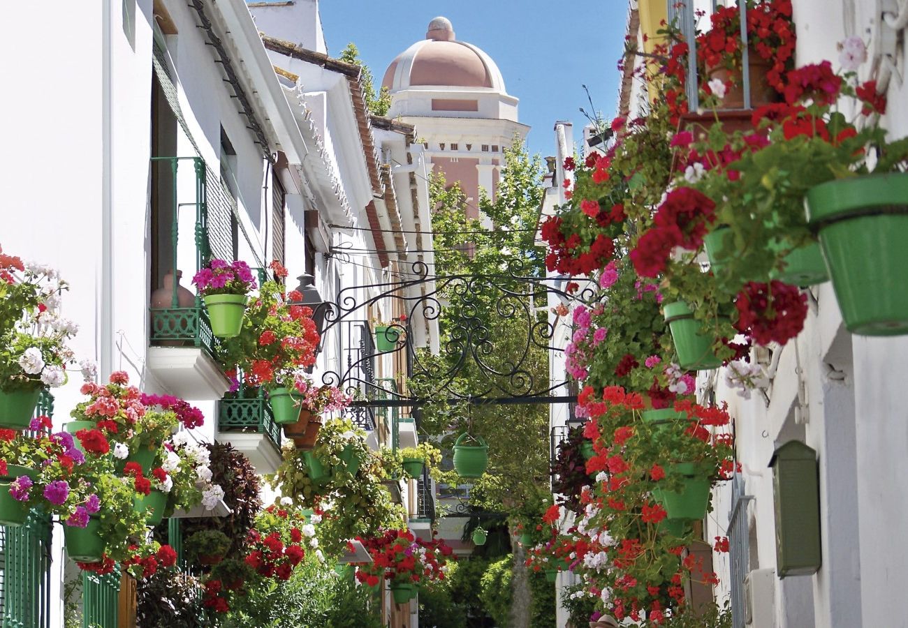 Apartamento en Casares -  Chic Penthouse & Solarium ALCAZABA LAGOON (2125)