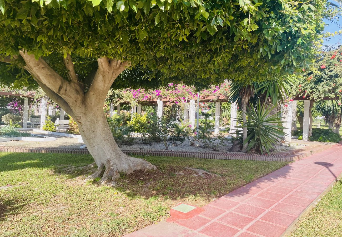 Apartamento en Torrox Costa - Alma de Laguna Beach by At Home Costa del Sol 