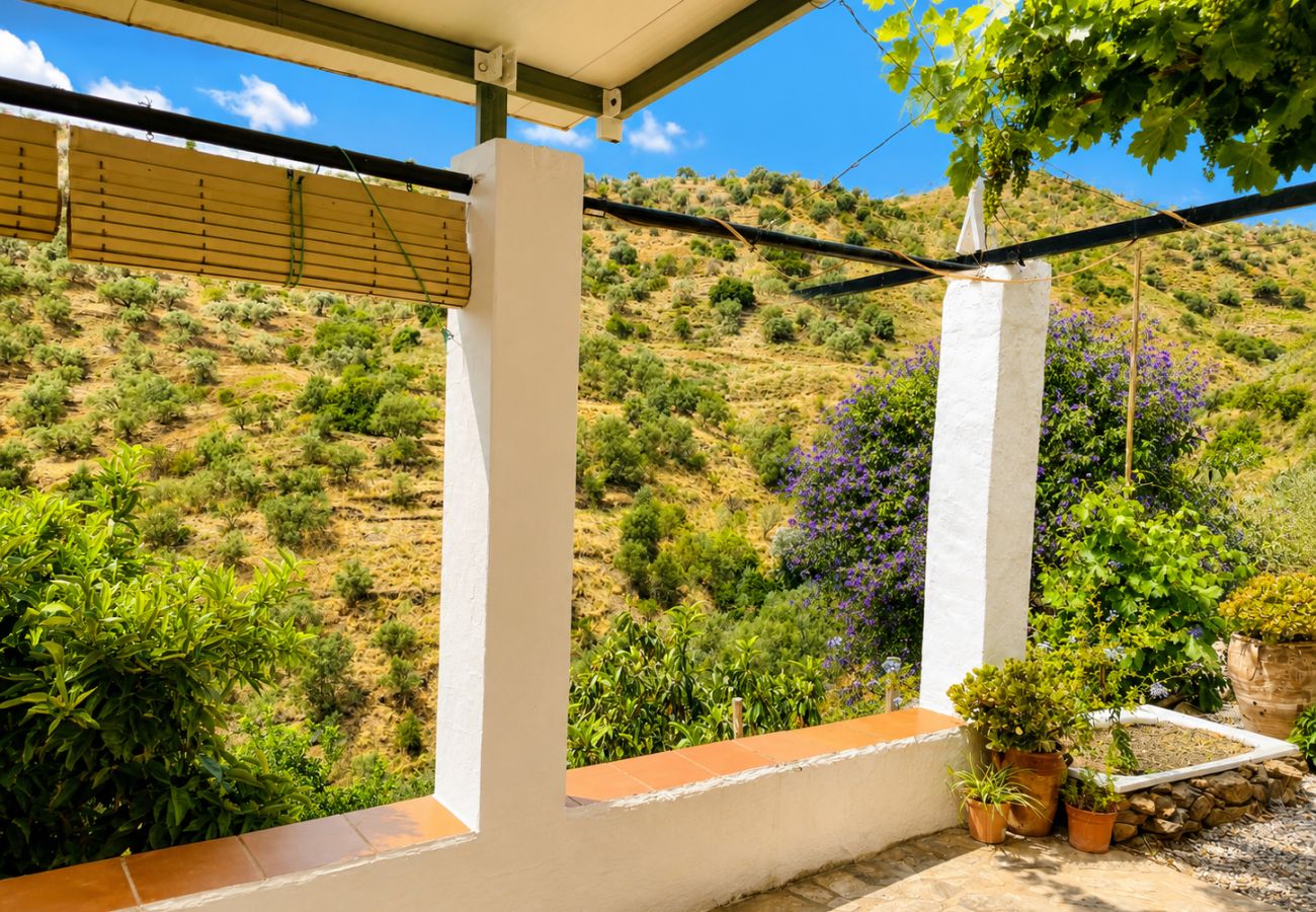 Casa rural en Sayalonga - Cortijo Majuelo – Sayalonga | Piscina privada, vistas a la montaña