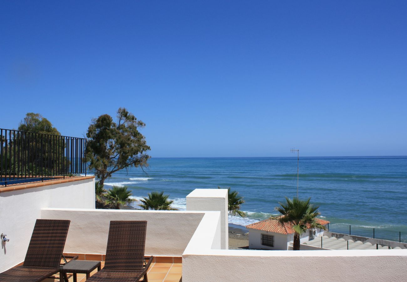 Apartment in Estepona - 124