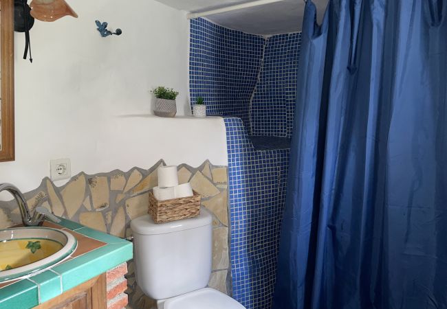 Studio in Cómpeta - Rural study in the acebuchal Studio in Cómpeta - Rural study in the acebuchal