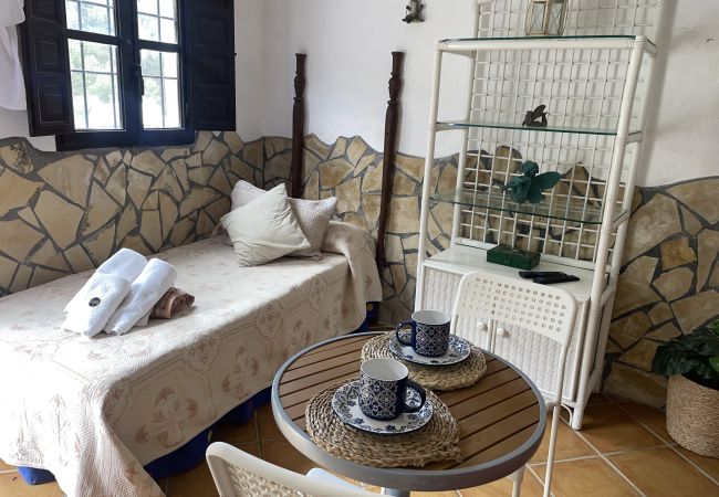 Studio in Cómpeta - Rural study in the acebuchal Studio in Cómpeta - Rural study in the acebuchal