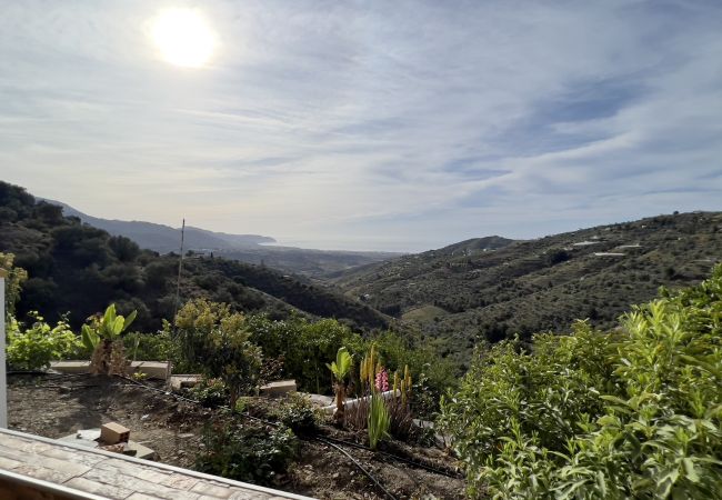 Villa in Torrox - Villa Paco Villa in Torrox - Villa Paco