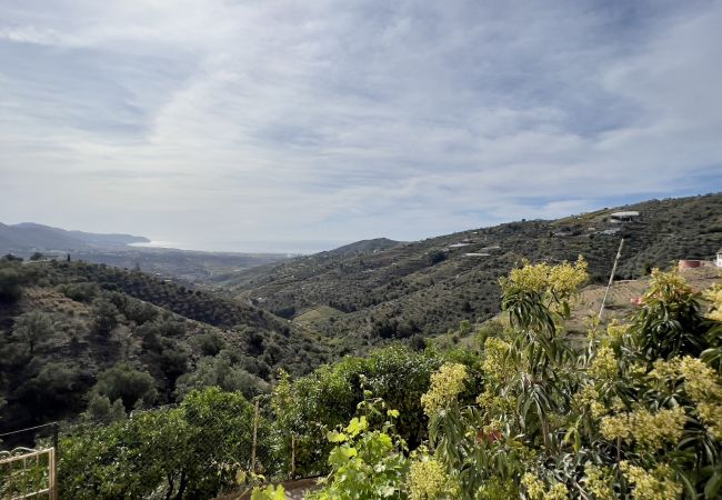 Villa in Torrox - Villa Paco Villa in Torrox - Villa Paco