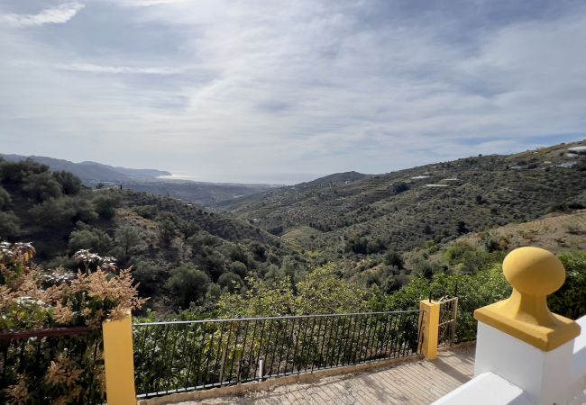 Villa in Torrox - Villa Paco Villa in Torrox - Villa Paco