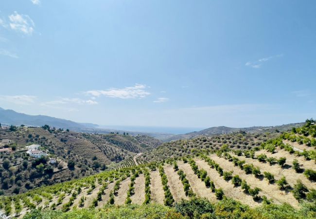 House in Torrox - Godoy House House in Torrox - Godoy House