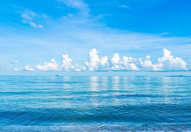 Studio in Nerja - Playazo Studio in Nerja Studio in Nerja - Playazo Studio in Nerja