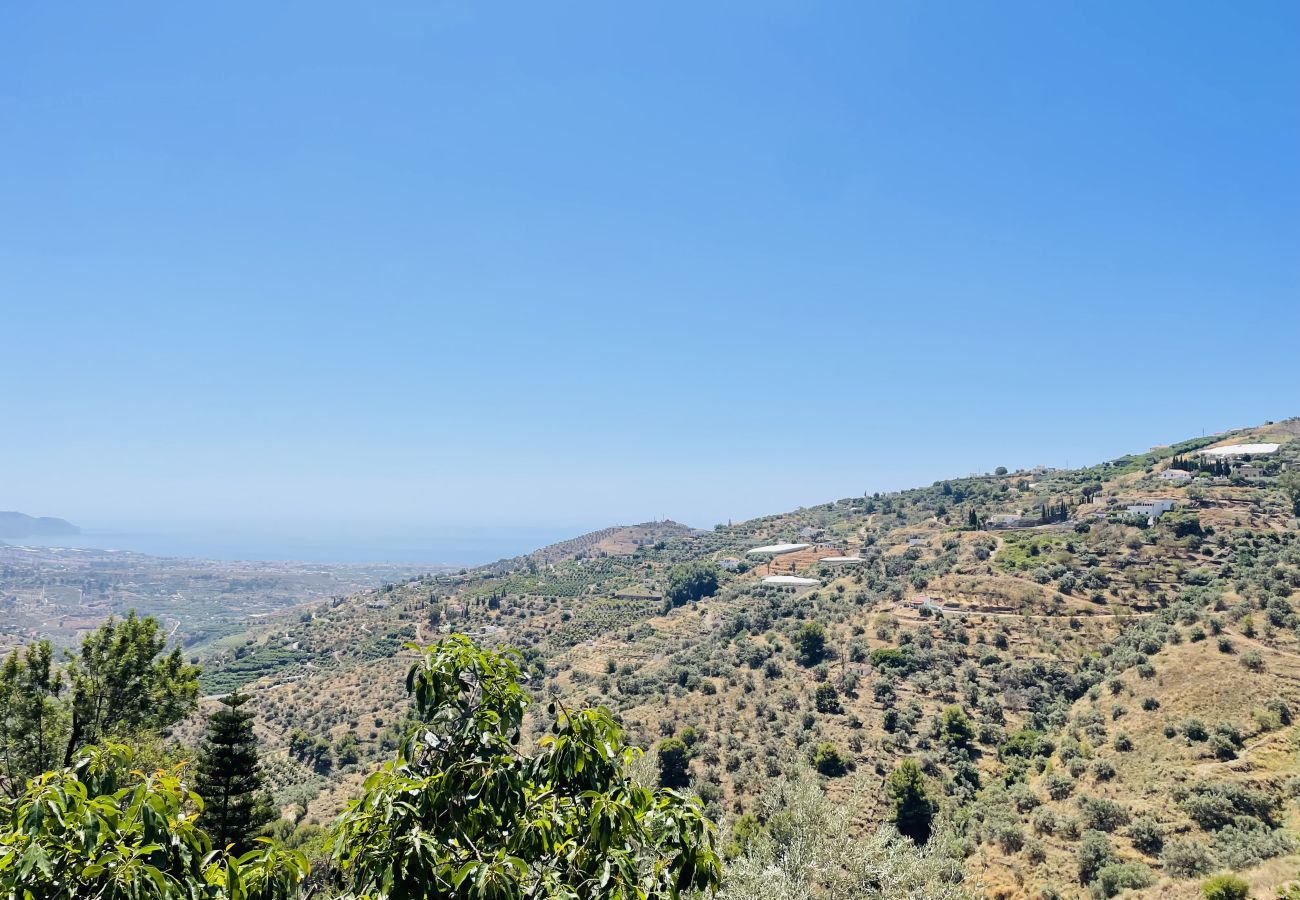 Villa in Torrox - Villa ArcoIris