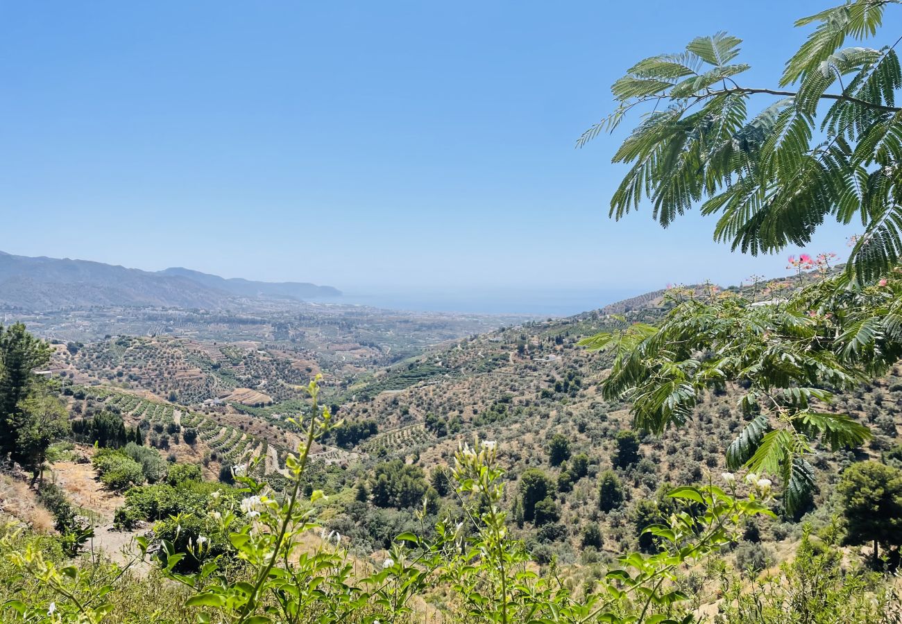 Villa in Torrox - Villa ArcoIris