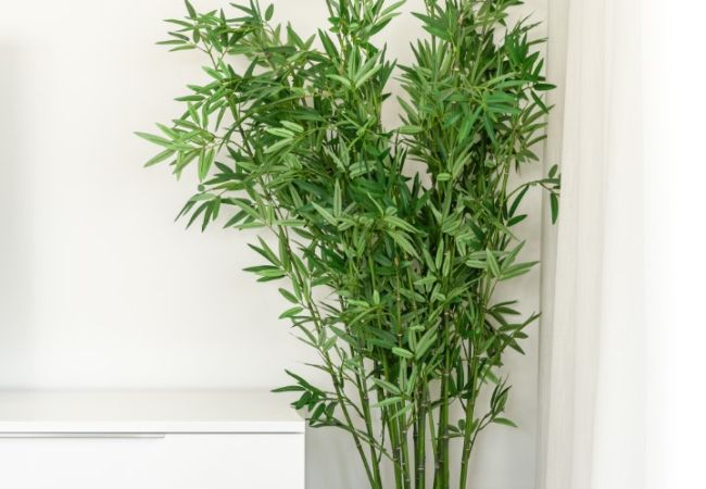 Apartment in Casares - AL4-2107  Apartment in Casares - AL4-2107