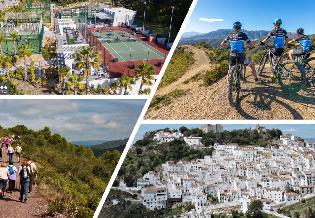 Apartment in Casares - AL4-2025