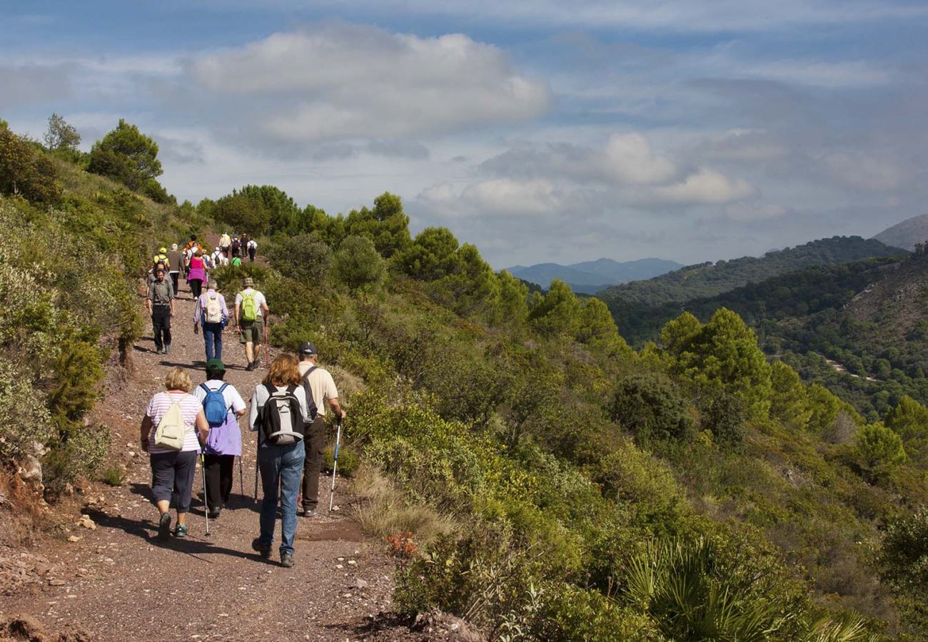 Apartment in Casares - AL4-2025