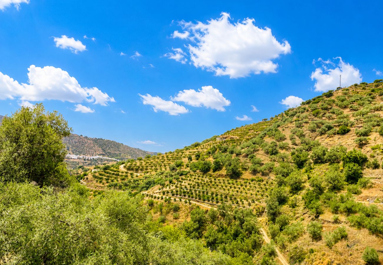 Cottage in Sayalonga - Cortijo Majuelo – Sayalonga | Private Pool, Mountain Views